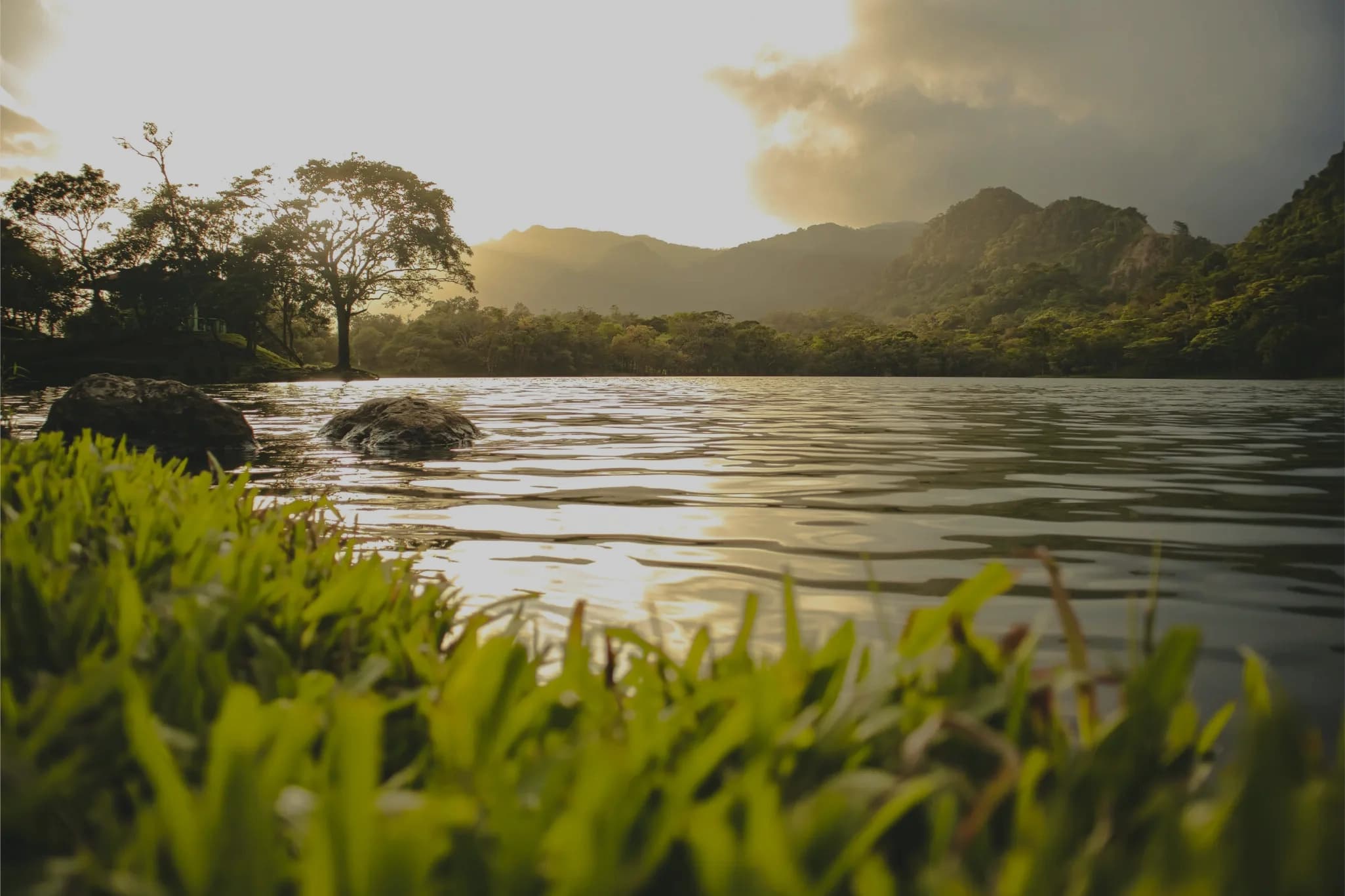 A calm lake at sunrise surrounded by bush and hills